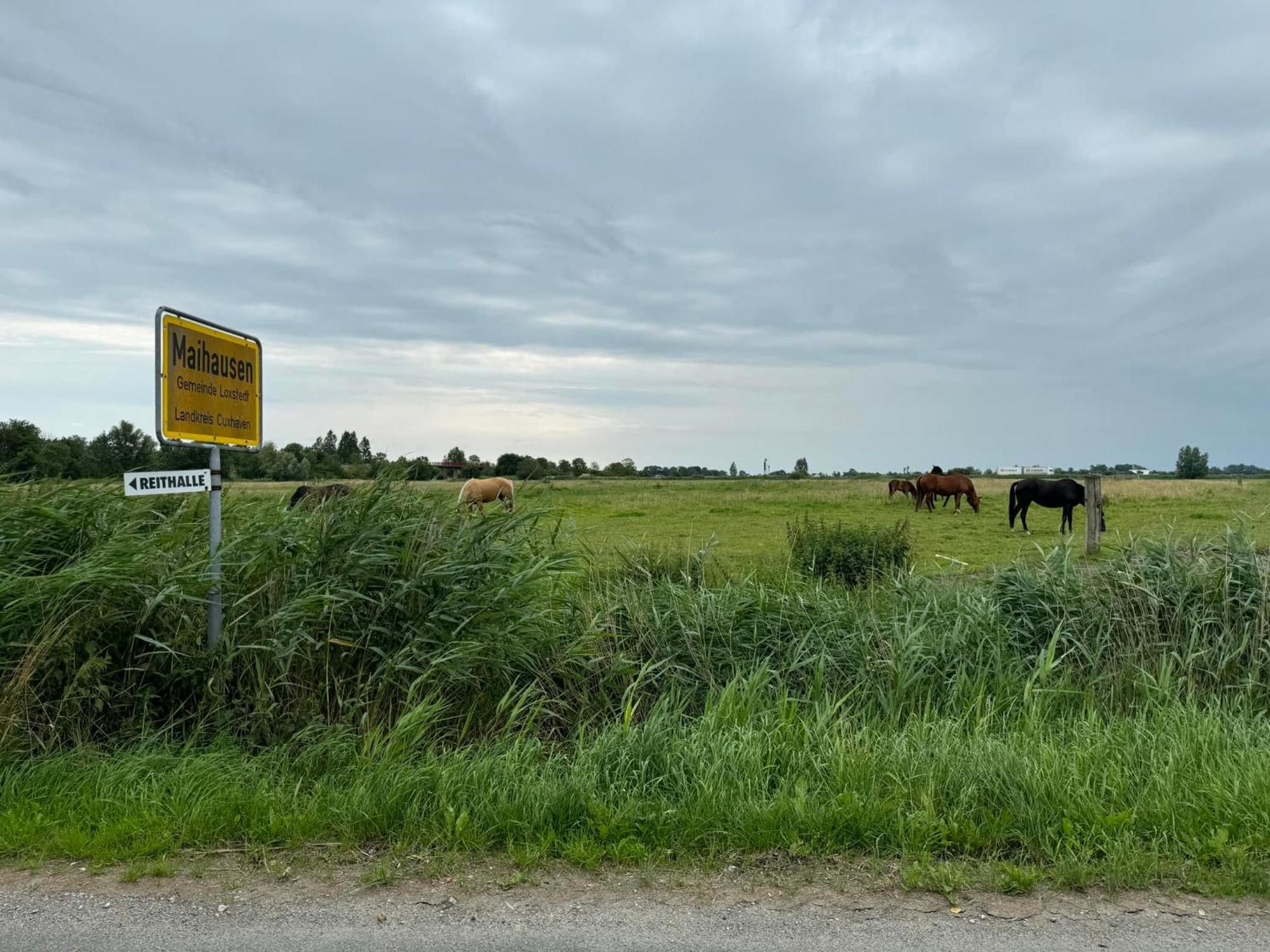 Und Knabbe