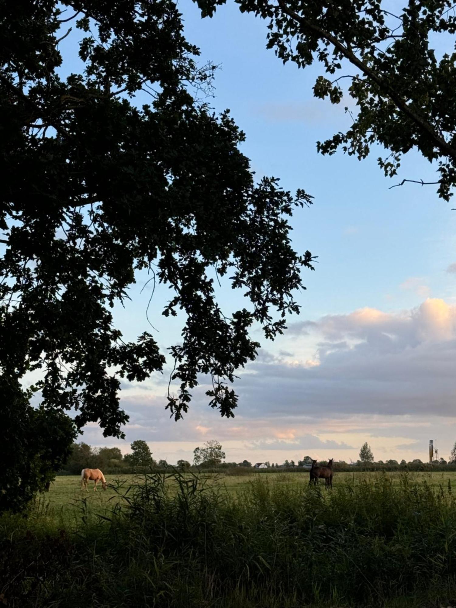 Und Knabbe * Loxstedt